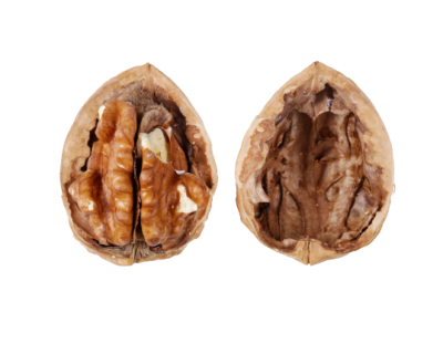 nuts-walnuts-white-background-removebg-preview